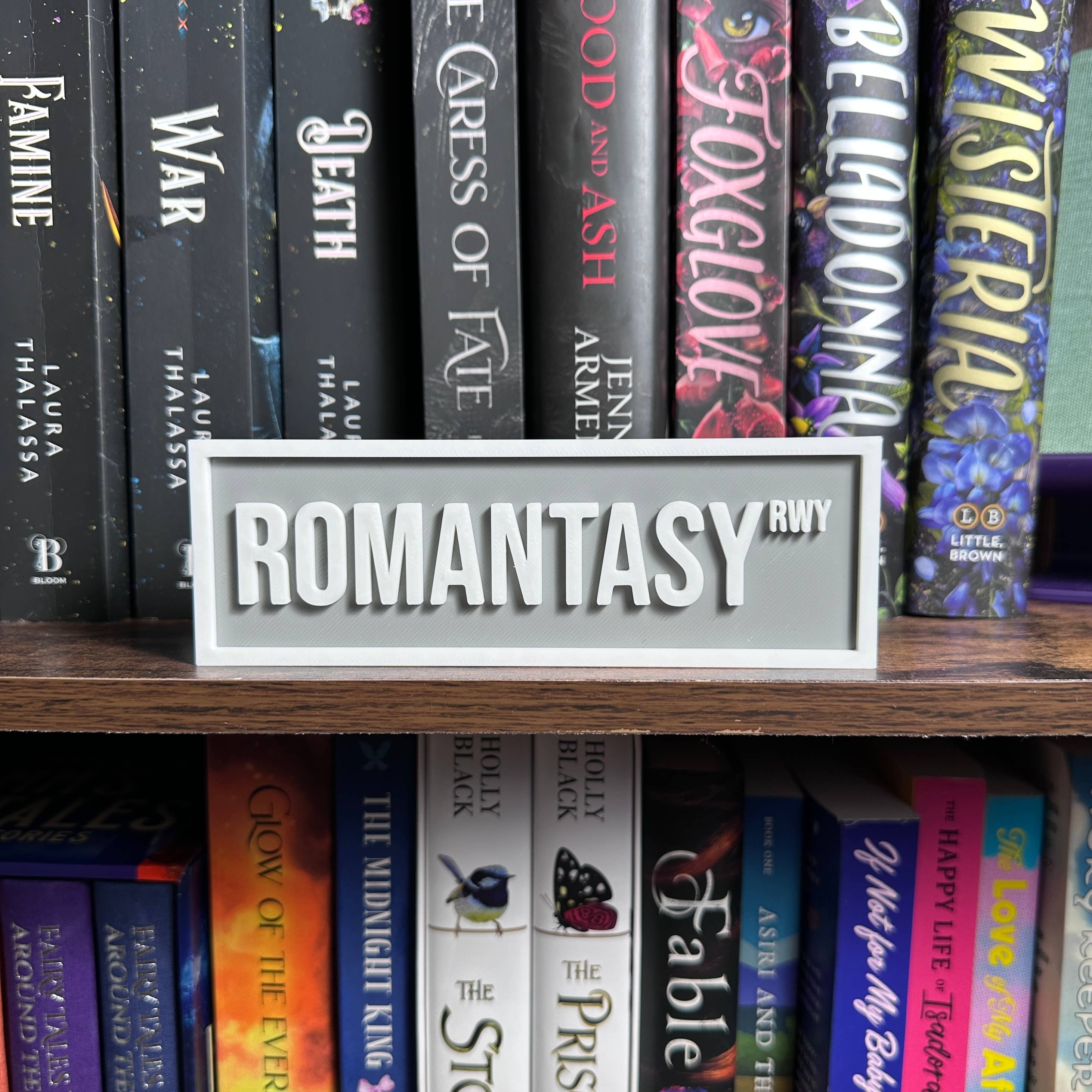 Romantasy Street Sign | Bookshelf Decor : Orange