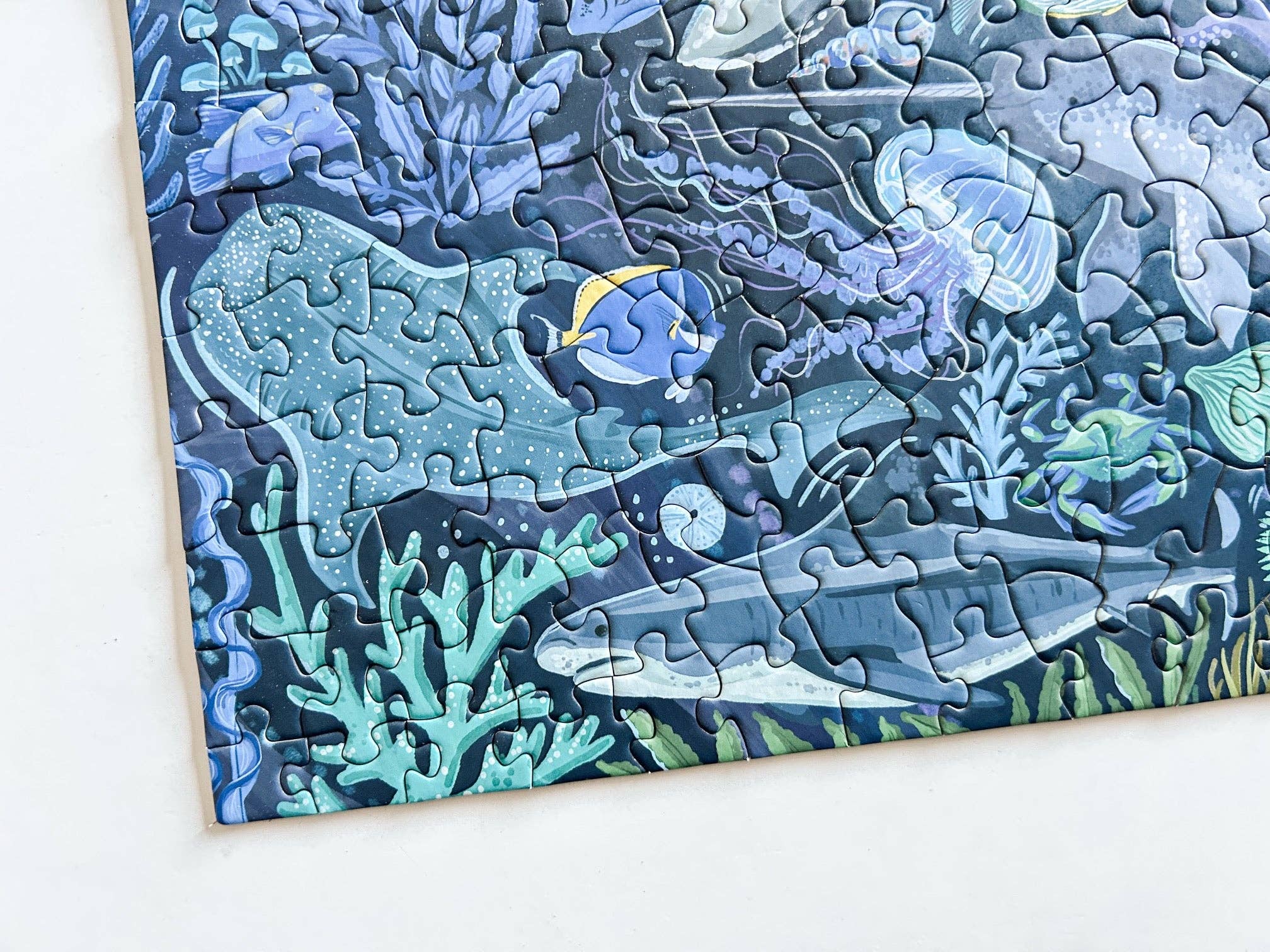 Ocean Creatures 500 Pc Puzzle