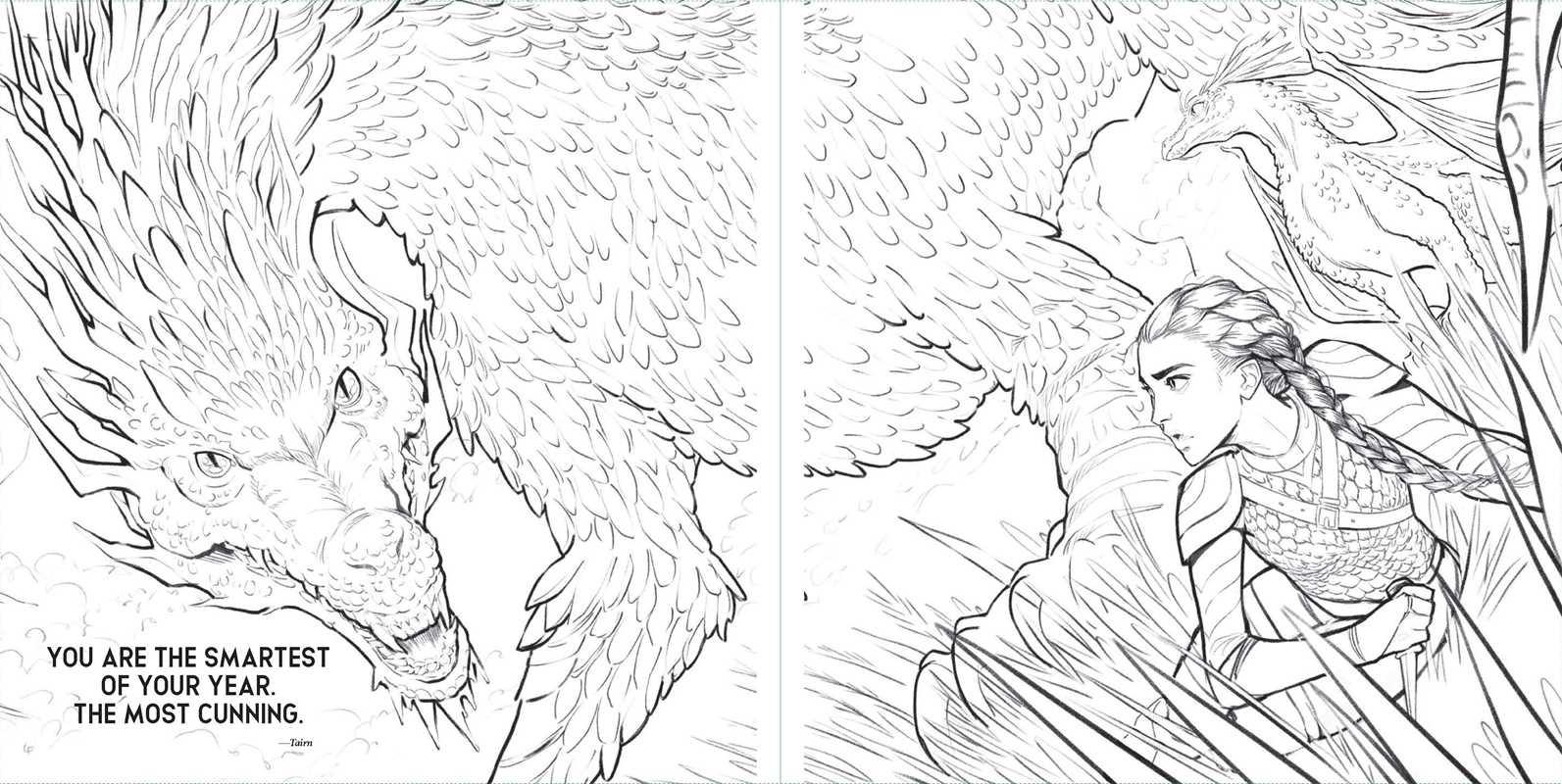 Fourth Wing: The Official Coloring Book by Entangled: Paperback; 96 pages / English