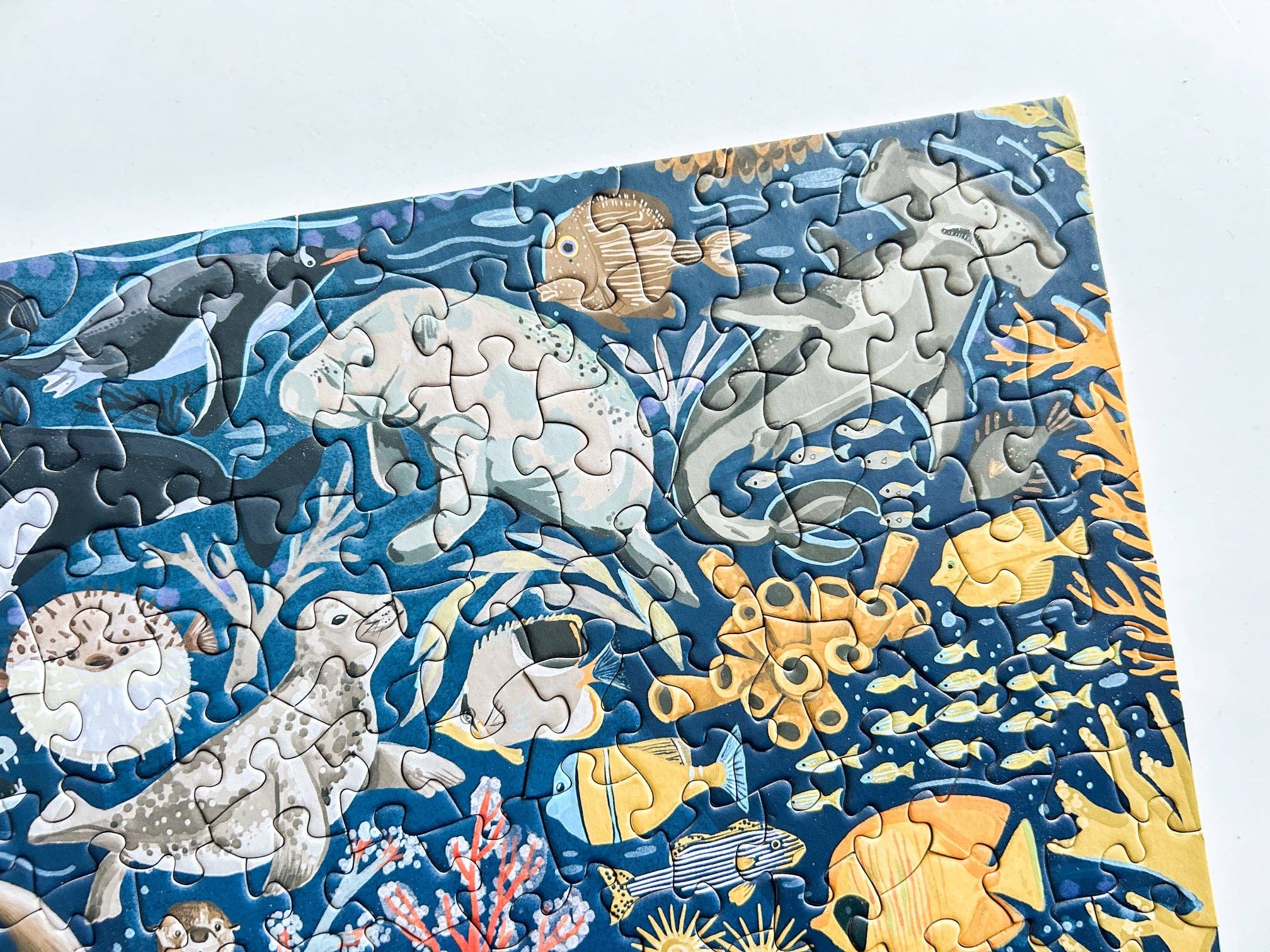 Ocean Creatures 500 Pc Puzzle