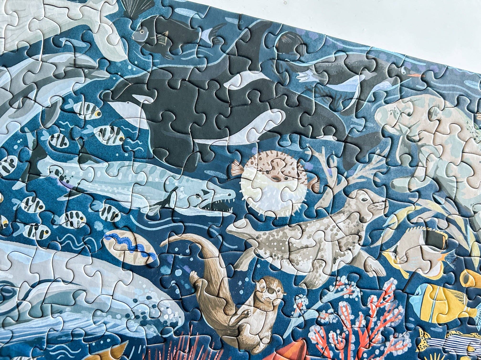 Ocean Creatures 500 Pc Puzzle