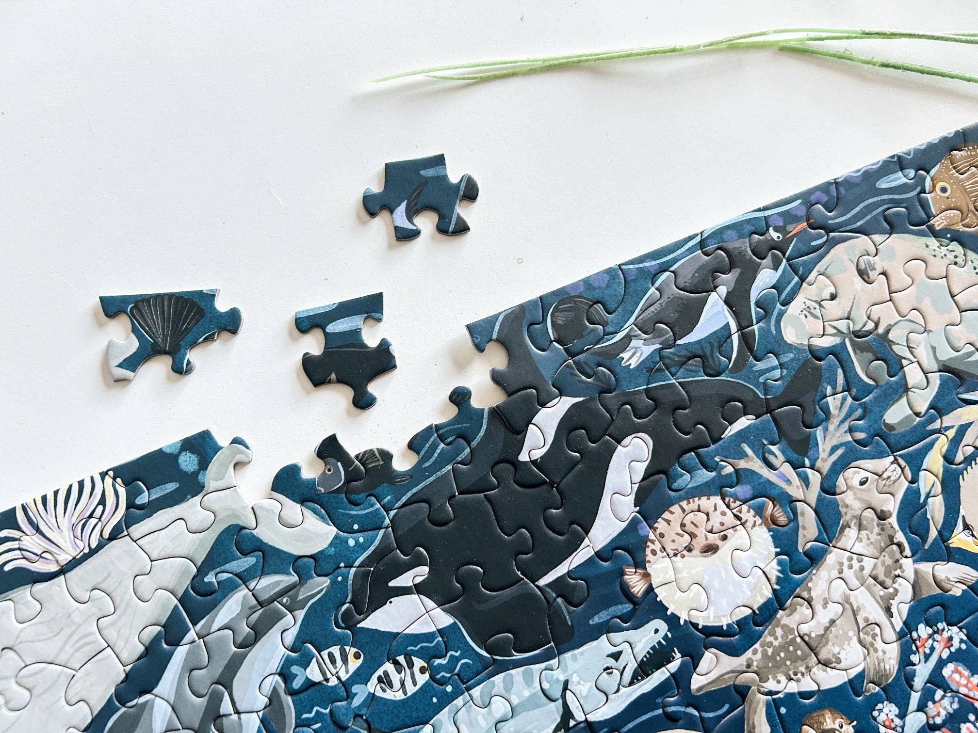 Ocean Creatures 500 Pc Puzzle