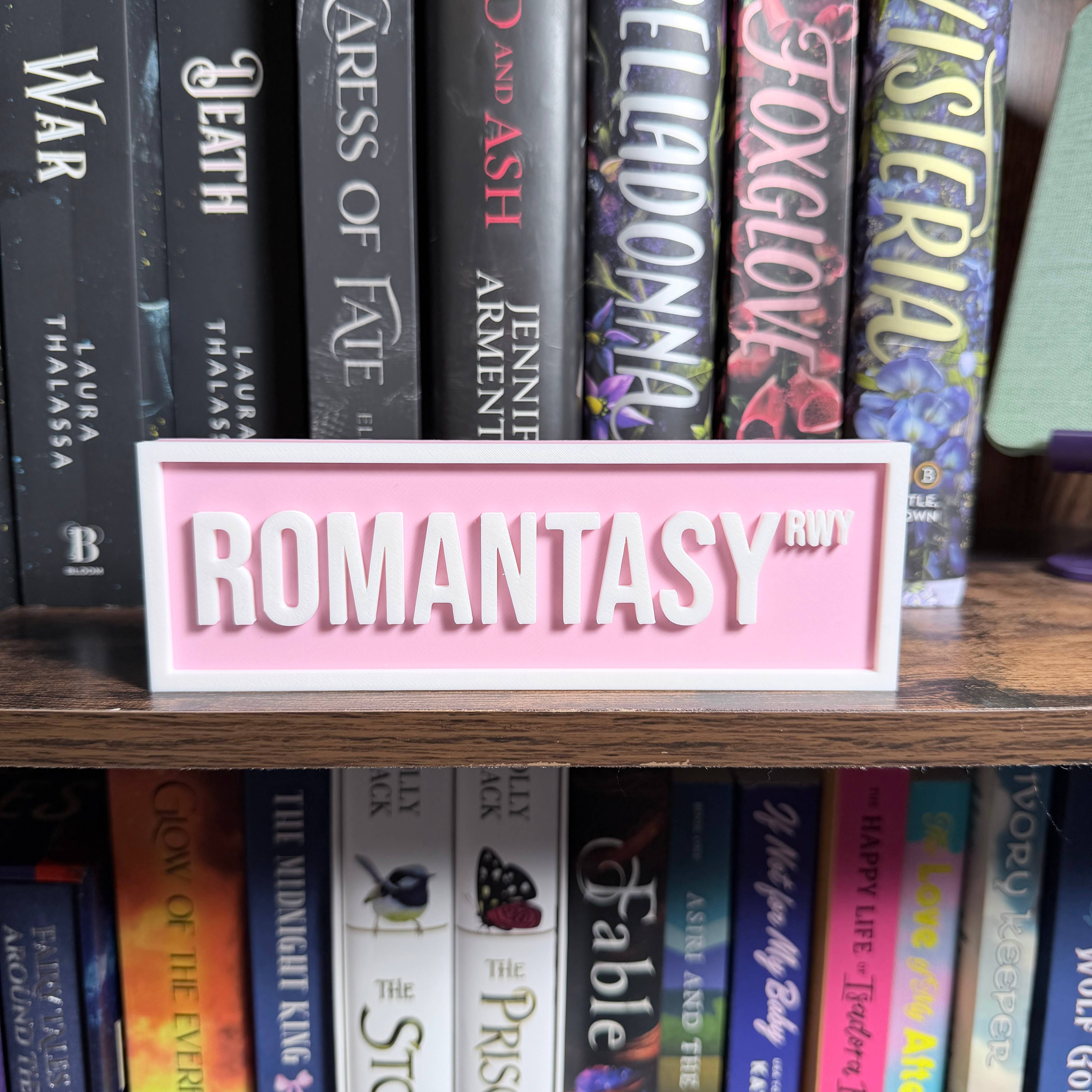 Romantasy Street Sign | Bookshelf Decor : Orange